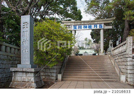 東京世田谷散歩、等々力エリア、玉川神社 21016633