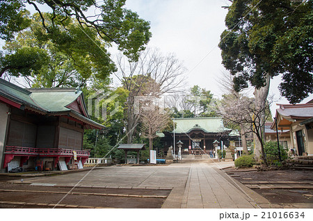 東京世田谷散歩、等々力エリア、玉川神社 東京世田谷散歩、等々力エリア、玉川神社 21016634