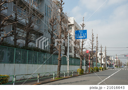 東京世田谷散歩、等々力エリア、駒沢公園通り 東京世田谷散歩、等々力エリア、駒沢公園通り 21016643
