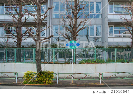 東京世田谷散歩、等々力エリア、駒沢公園通り 東京世田谷散歩、等々力エリア、駒沢公園通り 21016644