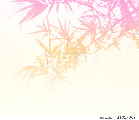 Bamboo leaf background 21017008