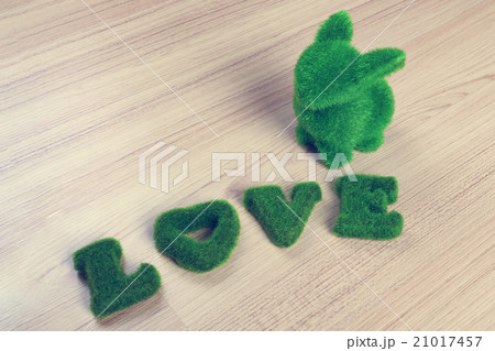 green love wording and little rabbit on  floor 21017457