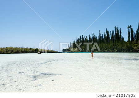 ピッシンヌ・ナチュレル　（ニュー・カレドニア、イル・デ・パン） 21017805