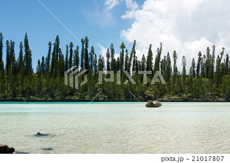 ピッシンヌ・ナチュレル　（ニュー・カレドニア、イル・デ・パン） 21017807