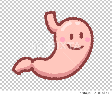 健康な胃 健康な胃 21018135