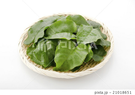 雲南百薬 21018651