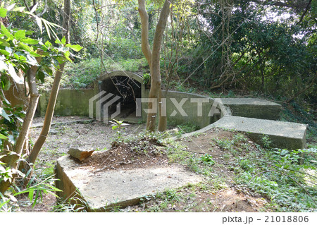 猿島 砲台跡 猿島 砲台跡 21018806