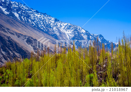 beautiful Landscape of Hunza Valley 21018967