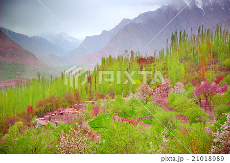 beautiful Landscape of Hunza Valley in Autumn  21018989
