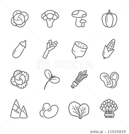 Lines icon set - vegetable vector illustration 21020839