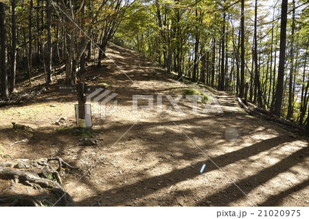 秋の石尾根縦走路ブナ坂 21020975