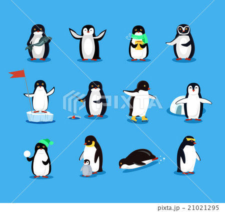 Set of Animal Pinguin Design Flat 21021295
