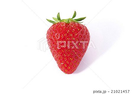 旬の苺 旬の苺 21021457