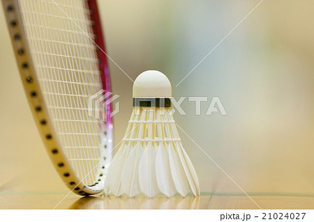 バトミントンのシャトルとラケット 21024027