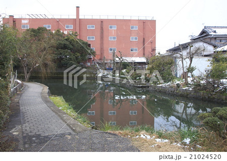 残雪残る柳川市クリーク 残雪残る柳川市クリーク 21024520