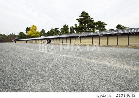 京都御苑 21024645