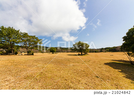 高知県 土佐清水市 唐人駄馬公園 高知県 土佐清水市 唐人駄馬公園 21024842