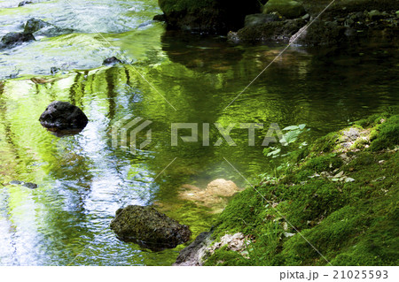 緑と水風景 21025593