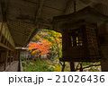 吊灯篭_紅葉 21026436