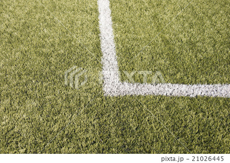 Football field 21026445