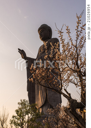 夕暮れの牛久大仏 21026954