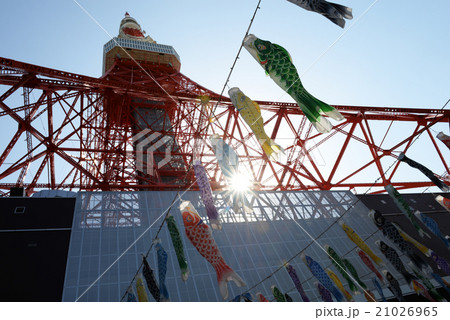 東京タワー 21026965