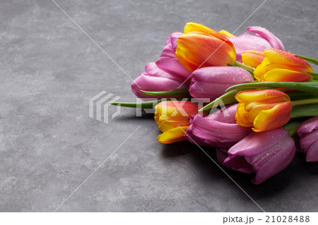 Fresh colorful tulip flowers 21028488