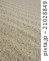sand 21028849