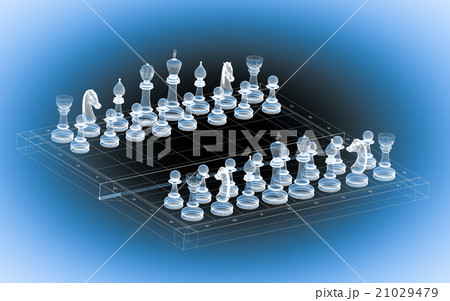 chess body structure  21029479
