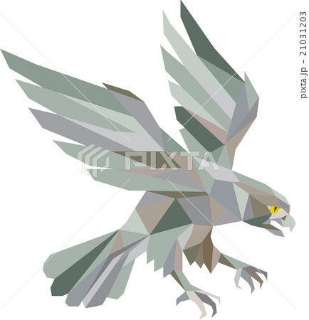 Peregrine Falcon Swooping Grey Low Polygonのイラスト素材