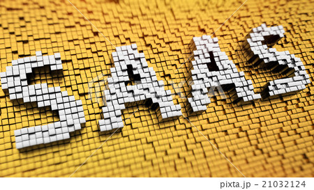 Pixelated SAAS 21032124