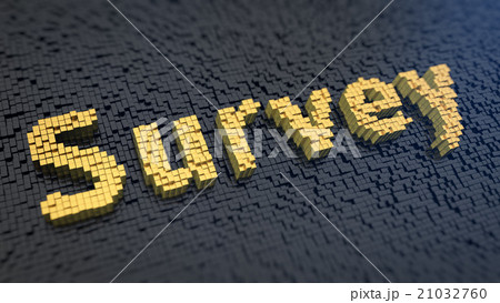 Survey cubics 21032760