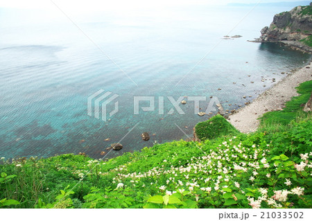 積丹半島 21033502