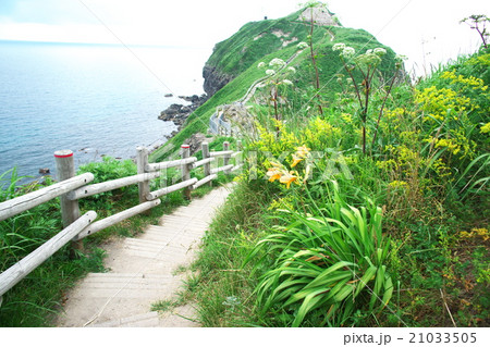 積丹半島 21033505