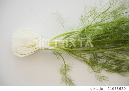 Cross section of fennel on white background 21033620