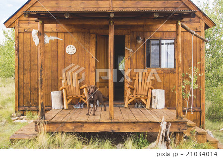 Dog on porch of wooden hut 21034014