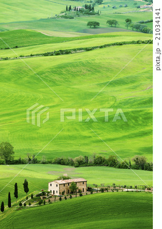 Green rolling landscape with farmhouse 21034141