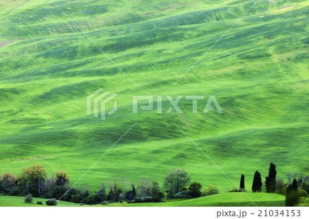 Green rolling landscape 21034153