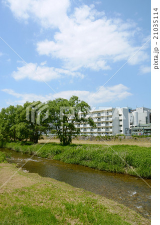 盛岡市　盛岡盛岡市　盛岡城跡付近城跡付近 21035114