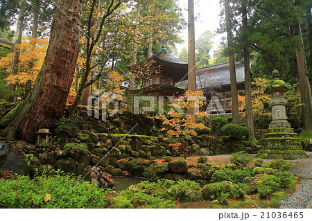 紅葉の永平寺境内 21036465
