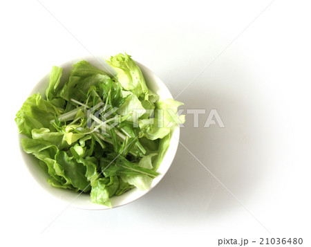 緑のサラダ 21036480