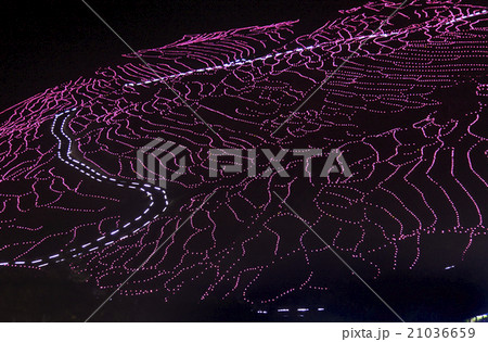 白米千枚田夜景イルミネーション 白米千枚田夜景イルミネーション 21036659