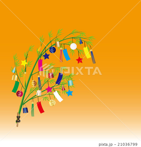 七夕飾り夕陽 21036799