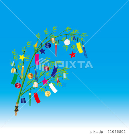 七夕飾り青空 21036802