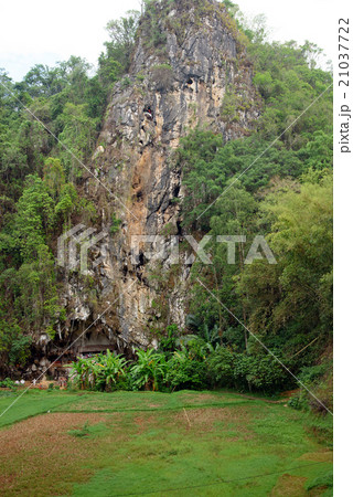 Londa is cliffs and cave burial site. Tana Toraja Londa is cliffs and cave burial site. Tana Toraja 21037722