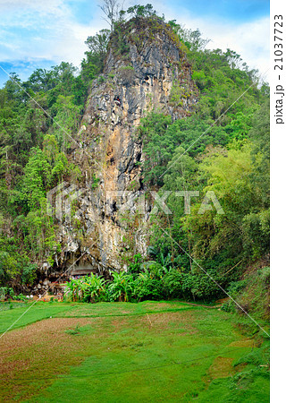 Londa is cliffs and cave burial site. Tana Toraja 21037723