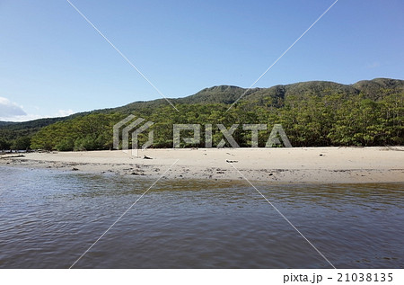 西表島 仲間川 西表島 仲間川 21038135