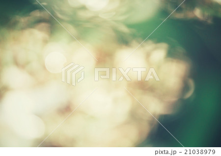 Vintage background 21038979