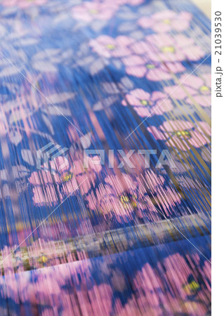 秩父銘仙 21039530