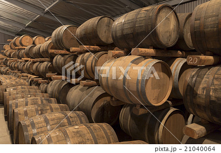 ワイン蔵 21040064